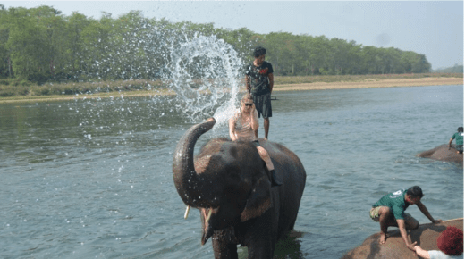 Chitwan Jungle Safari Tour - 3 Days